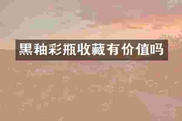 黑釉彩瓶收藏有价值吗