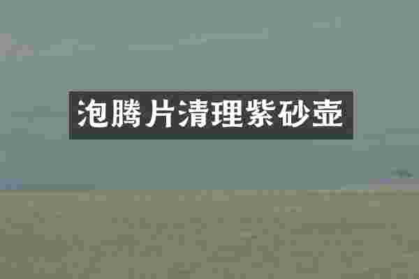 泡腾片清理紫砂壶
