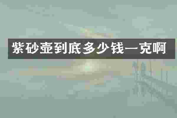 紫砂壶到底多少钱一克啊