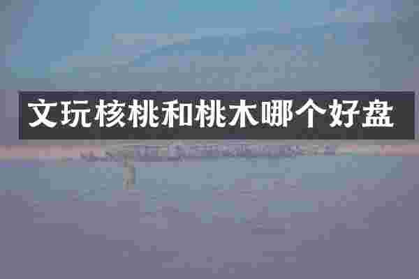 文玩核桃和桃木哪个好盘