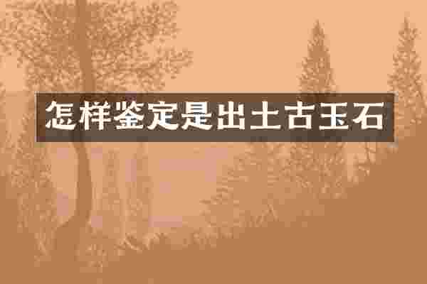 怎样鉴定是出土古玉石