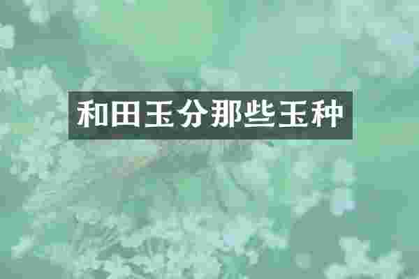 和田玉分那些玉种