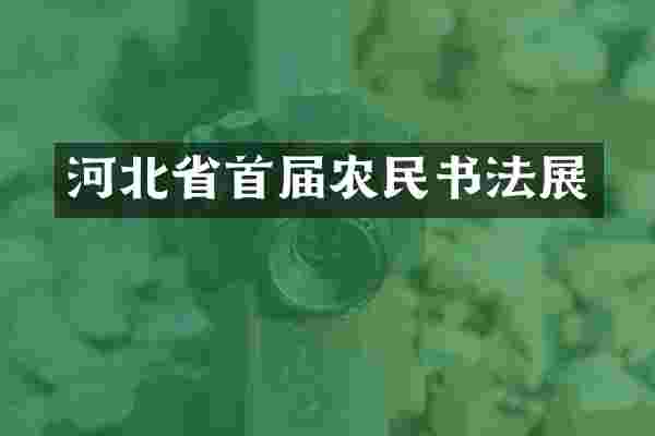 河北省首届农民书法展