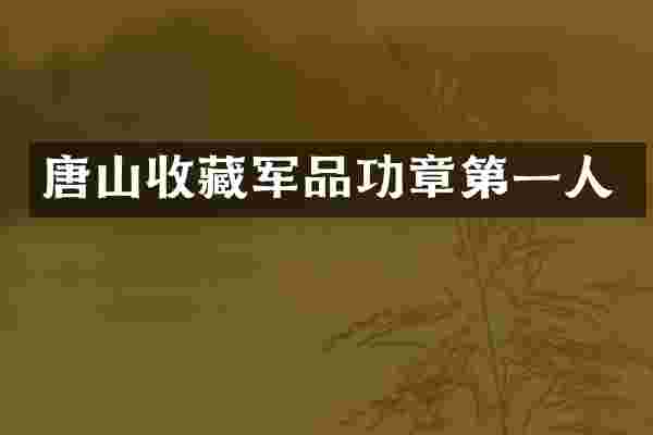 唐山收藏军品功章第一人