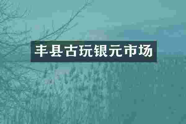 丰县古玩银元市场