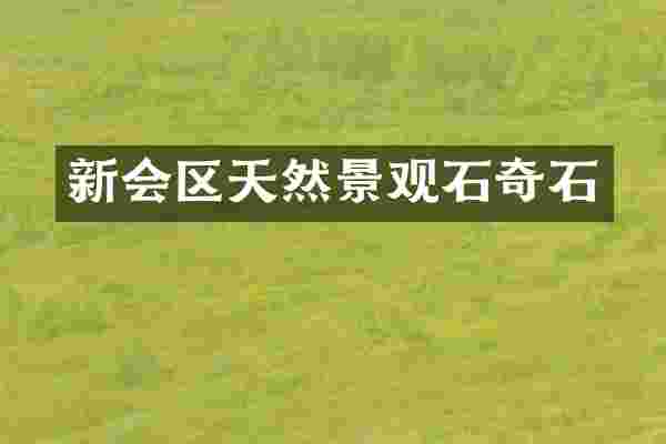 新会区天然景观石奇石