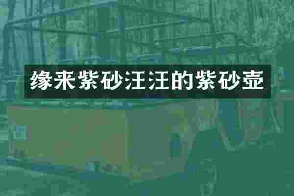 缘来紫砂汪汪的紫砂壶