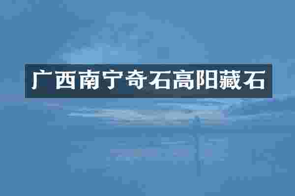广西南宁奇石高阳藏石