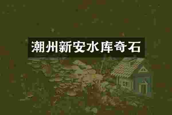 潮州新安水库奇石