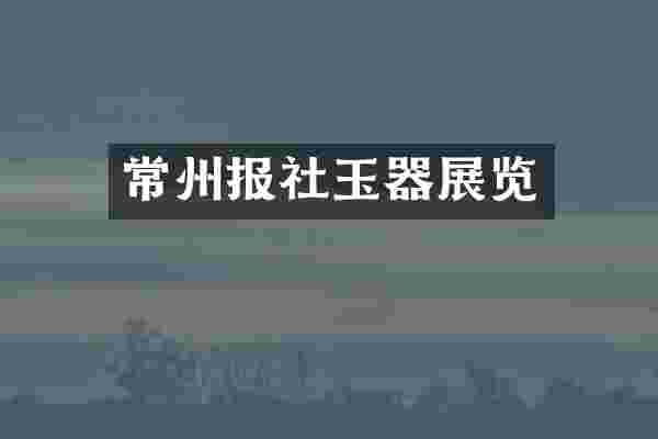 常州报社玉器展览