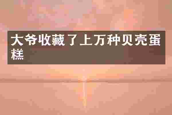 大爷收藏了上万种贝壳蛋糕