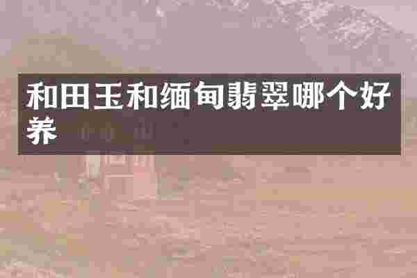 和田玉和缅甸翡翠哪个好养