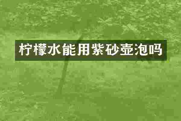 柠檬水能用紫砂壶泡吗
