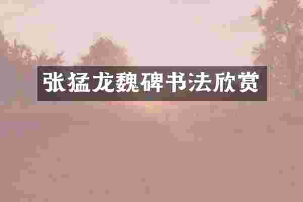 张猛龙魏碑书法欣赏