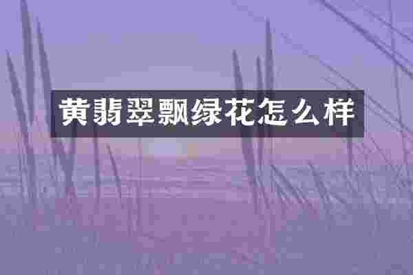 黄翡翠飘绿花怎么样