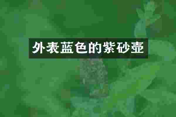 外表蓝色的紫砂壶