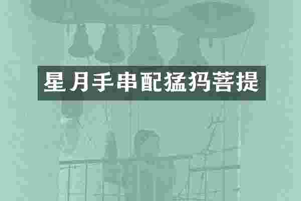 星月手串配猛犸菩提