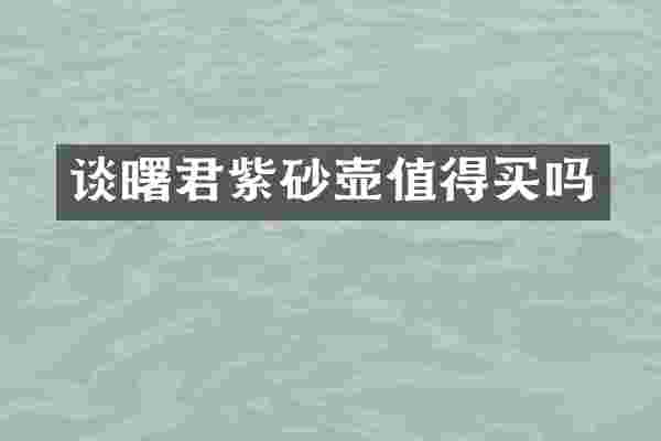 谈曙君紫砂壶值得买吗