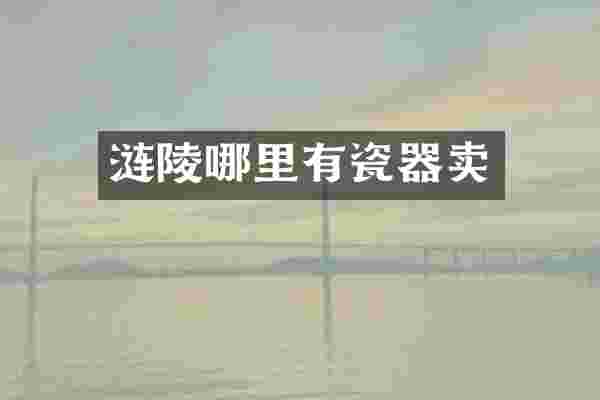 涟陵哪里有瓷器卖