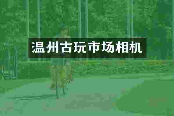 温州古玩市场相机