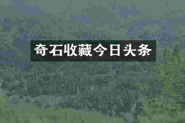 奇石收藏今日头条