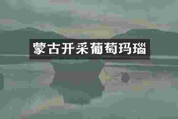 蒙古开采葡萄玛瑙