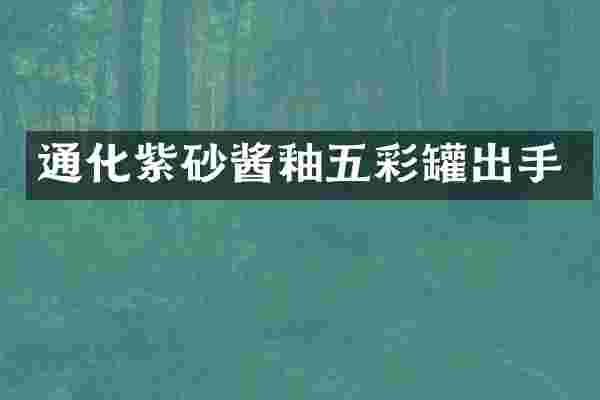 通化紫砂酱釉五彩罐出手