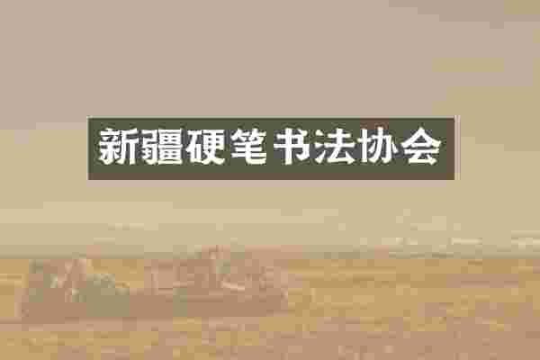 新疆硬笔书法协会