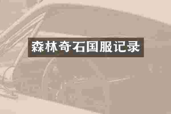 森林奇石国服记录