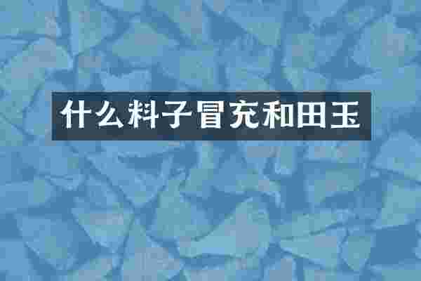 什么料子冒充和田玉
