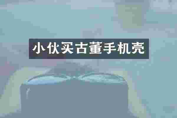 小伙买古董手机壳