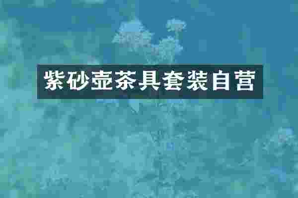 紫砂壶茶具套装自营