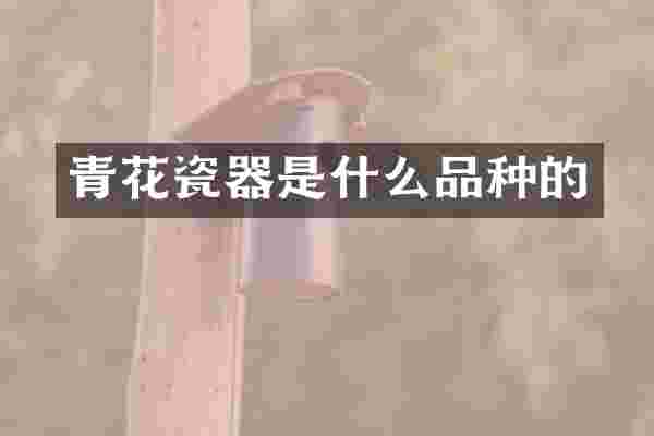 青花瓷器是什么品种的