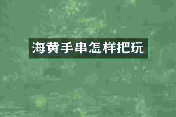 海黄手串怎样把玩