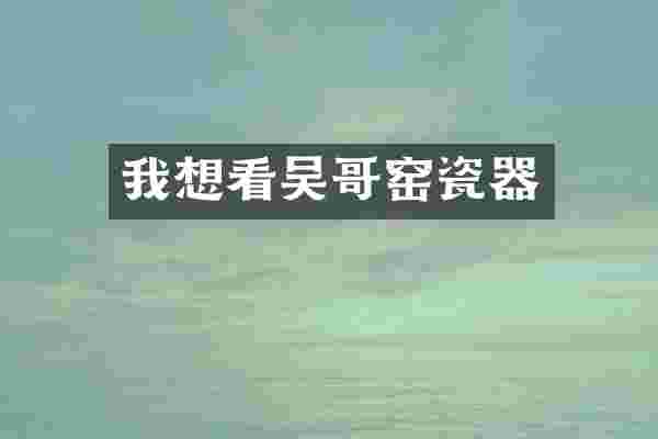 我想看吴哥窑瓷器