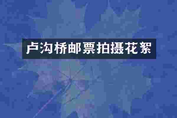 卢沟桥邮票拍摄花絮