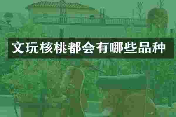文玩核桃都会有哪些品种