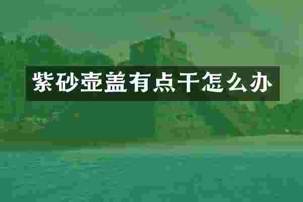 紫砂壶盖有点干怎么办