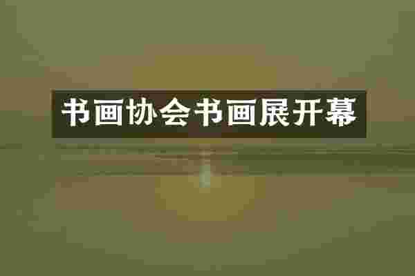 书画协会书画展开幕