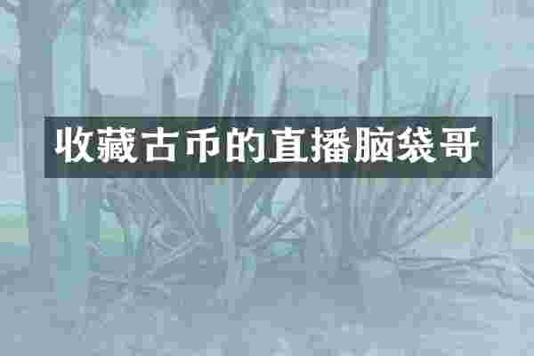 收藏古币的直播脑袋哥