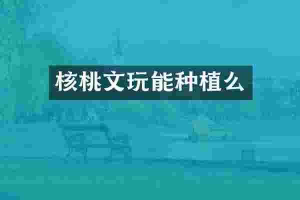 核桃文玩能种植么