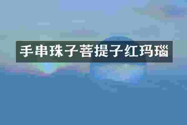 手串珠子菩提子红玛瑙
