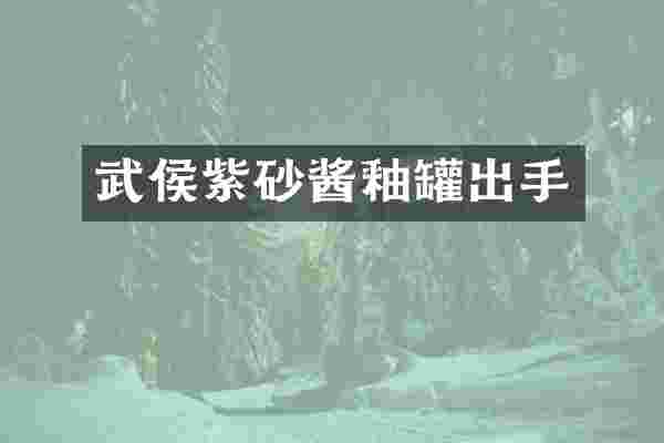武侯紫砂酱釉罐出手