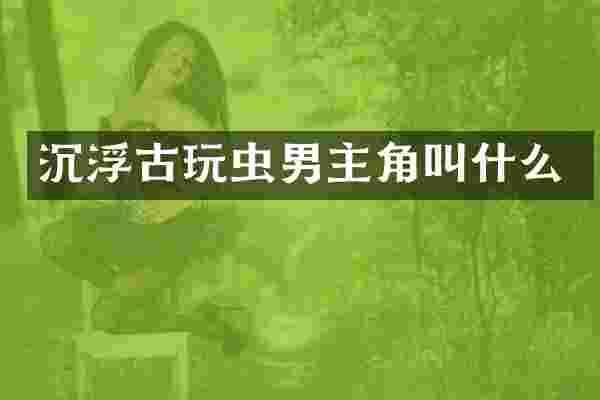 沉浮古玩虫男主角叫什么