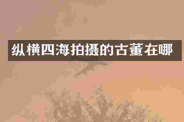 纵横四海拍摄的古董在哪