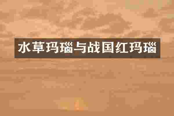 水草玛瑙与战国红玛瑙
