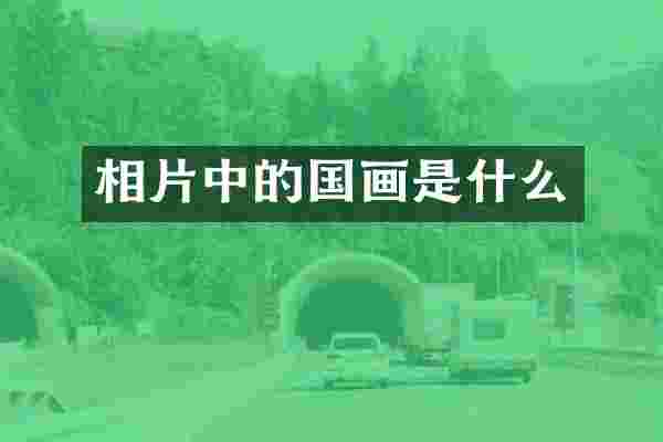 相片中的国画是什么