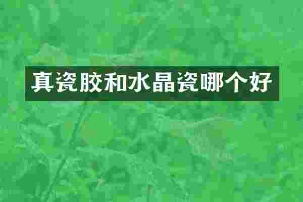 真瓷胶和水晶瓷哪个好