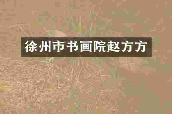 徐州市书画院赵方方