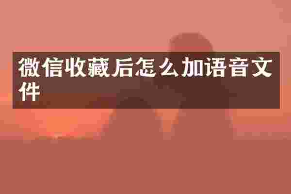 微信收藏后怎么加语音文件